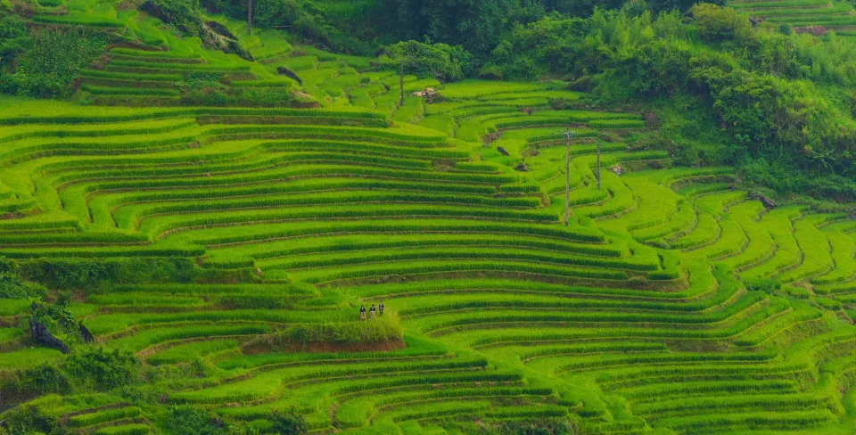 Khu cân đong buổi sáng