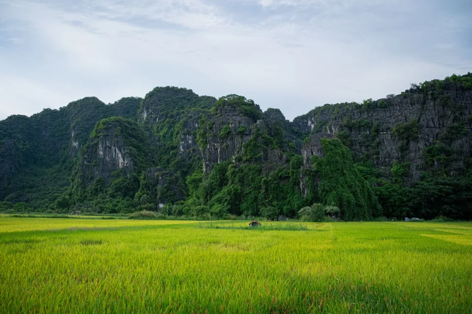 Góc sân phơi